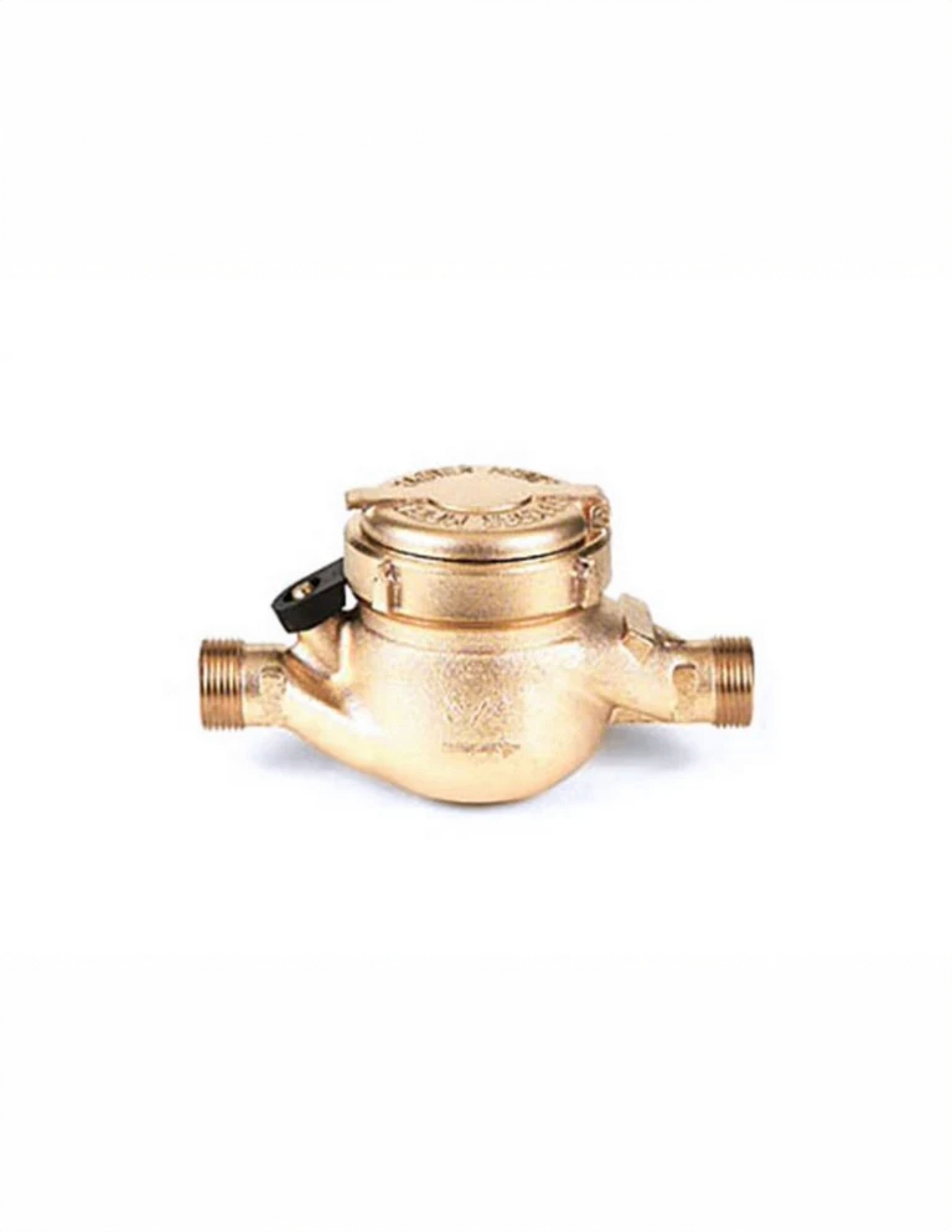 Master Meters Hot Water Meters California Approved 1 pulse/1 CF